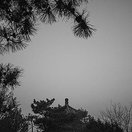 EA新专利将检测玩家的恶意组队行为 最高禁赛惩罚